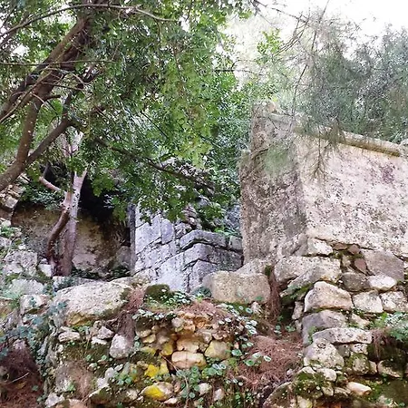 Papatya Bungalow Konukevi 3*