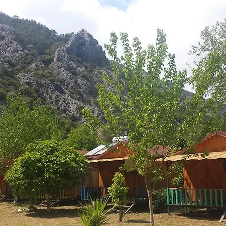 Papatya Kemer