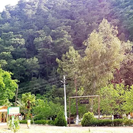 Papatya 3*