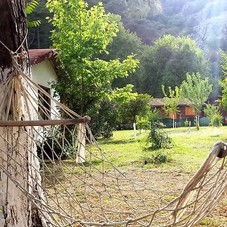 Papatya Kemer