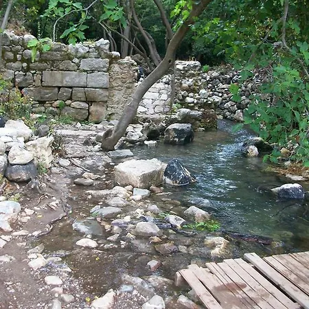 Papatya Kemer