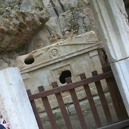 Papatya