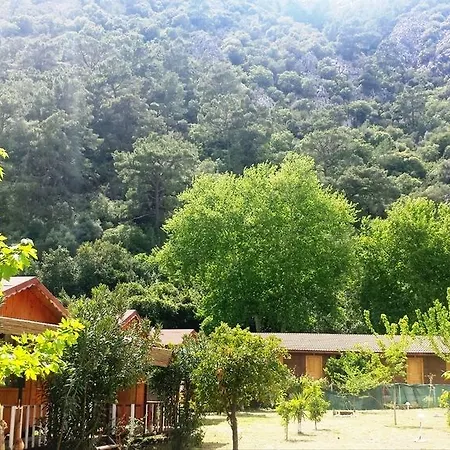 Papatya 3*